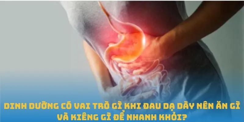 Dinh dưỡng có vai trò gì khi đau dạ dày nên ăn gì và kiêng gì để nhanh khỏi?