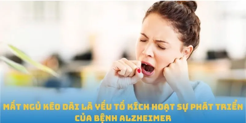 Mất ngủ kéo dài là yếu tố kích hoạt sự phát triển của bệnh Alzheimer
