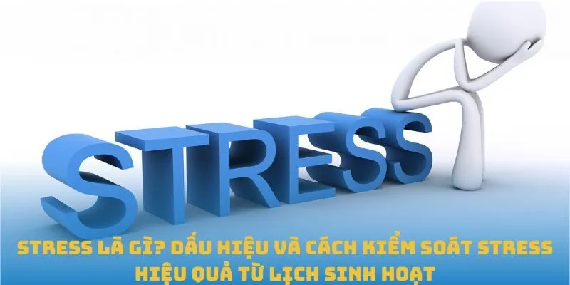 Stress là gì? Dấu hiệu và cách kiểm soát stress hiệu quả từ lịch sinh hoạt