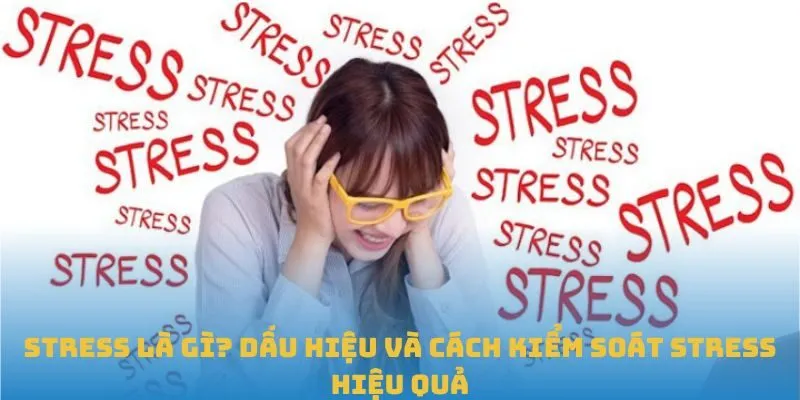 Stress là gì? Dấu hiệu và cách kiểm soát stress hiệu quả