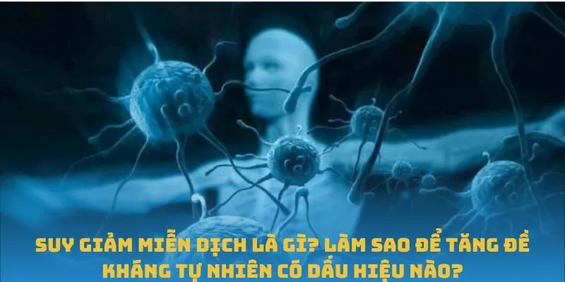 Suy giảm miễn dịch là gì? Làm sao để tăng đề kháng tự nhiên có dấu hiệu nào?