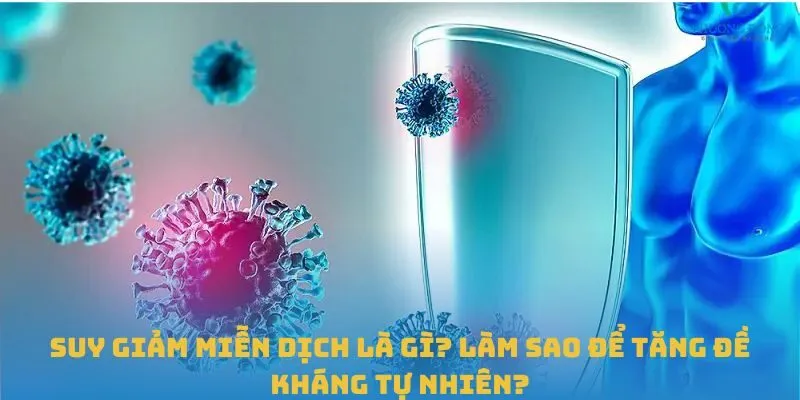 Suy giảm miễn dịch là gì? Làm sao để tăng đề kháng tự nhiên