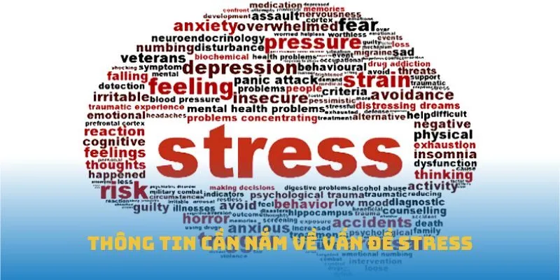 Thông tin cần nắm về vấn đề stress