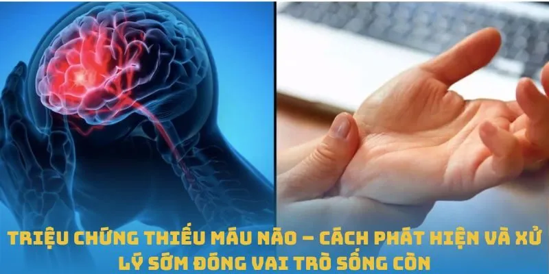 Triệu chứng thiếu máu não – Cách phát hiện và xử lý sớm đóng vai trò sống còn