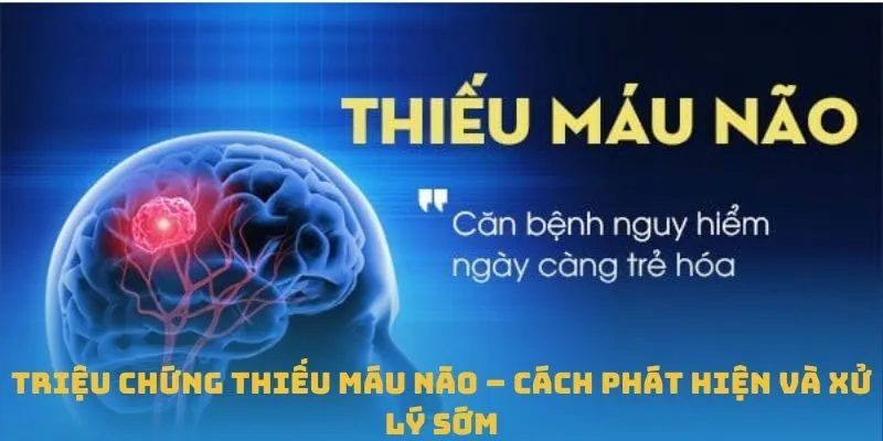 Hiểu đúng về triệu chứng thiếu máu não – Cách phát hiện và xử lý sớm